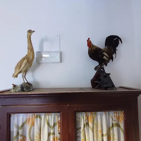 Hoarder's Gallery *